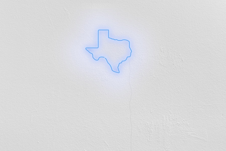 Texas Neon Sign - White