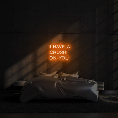 I have a crush on you LED Neon Sign - 24inch x 16inchOrange