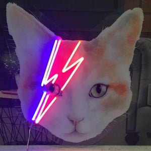Ziggy Stardust Cat LED Neon Sign -